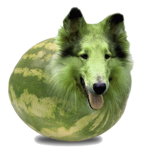 Sticker of a watermelon with a border collie face
