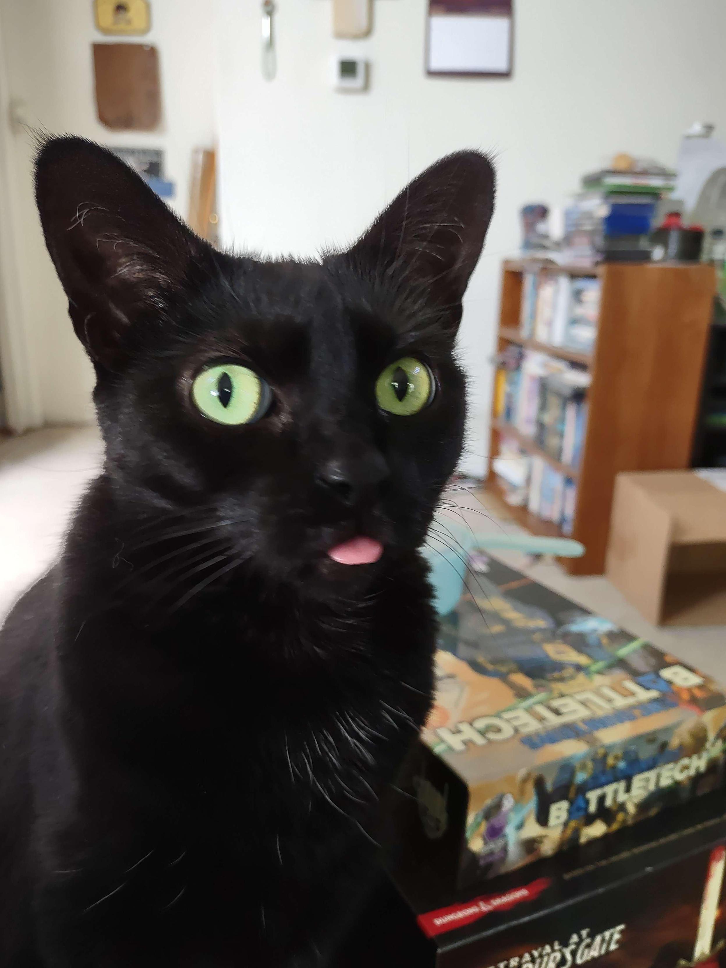 Photo of a black cat sticking its tongue out slightly as it sits next to some BattleTech and Baldur's Gate ttrpg boxes