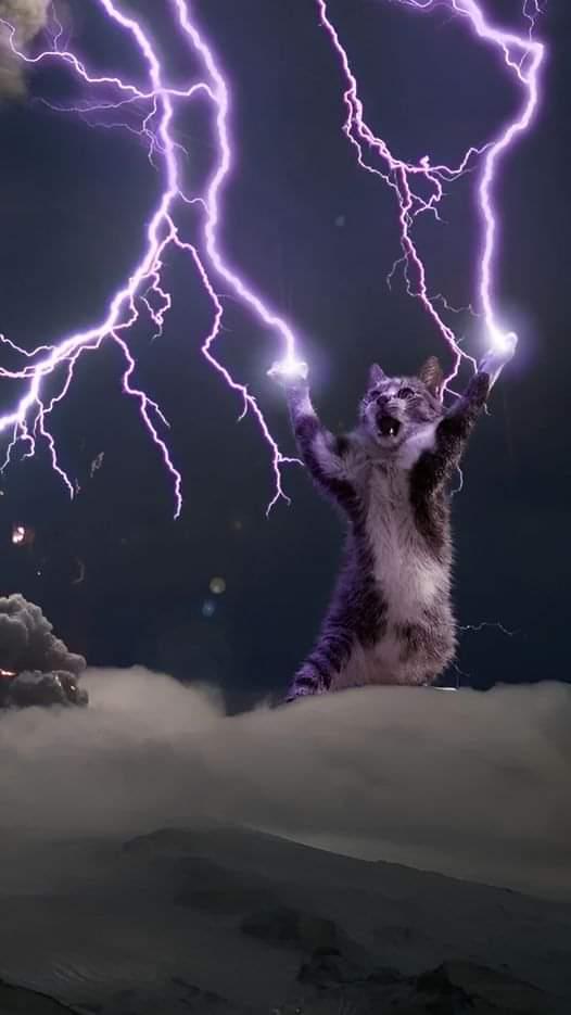 Actual photo of a kitten harnessing the power of lightning above a big mountain and storm clouds.