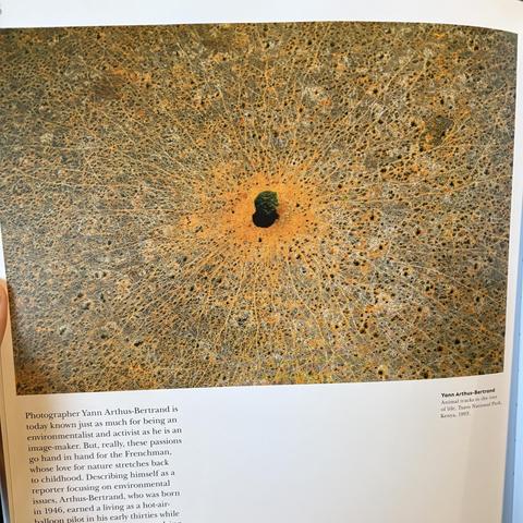 Yann Arthus-Bertrand
Animal tracks to the tree of life, Tsavo National Park, Kenya, 1993.