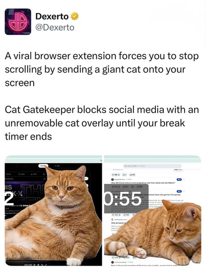 Dexerto
@Dexerto
A viral browser extension forces you to stop
scrolling by sending a giant cat onto your
screen
Cat Gatekeeper blocks social media with an
unremovable cat overlay until your break
timer ends

