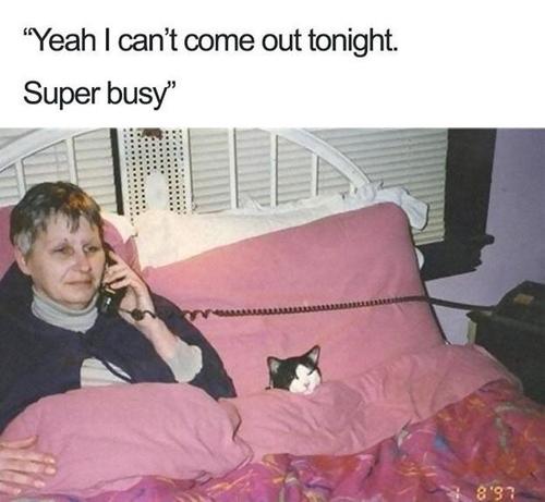 Photo taken Aug 1997 of an older lady on a corded landline telephone while she lies in bed next to  tucked in black & white cat. Caption is:

“Yeah I can’t come out tonight. 
Super busy”