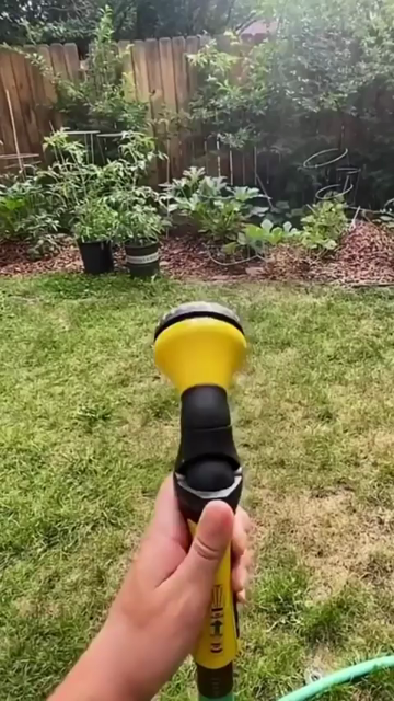 Point of view of someone holding a water hose sprayer and cutting it on. Immediately after it's cut on you see a dog running and jumping back and forth to chomp on the water.