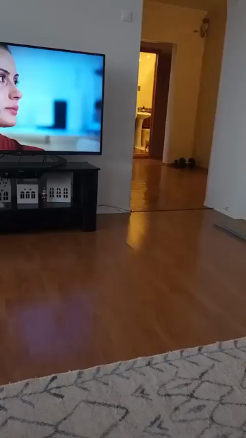 Video of an orange cat running through a house with hardwood floors, jumping on a couch to stare at you with airplane, then running back from whence the kitty came.