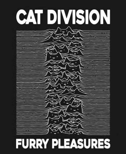 Cover art for Joy Division's album, Unknown Pleasures, that original showed a data plot of signals from a radio pulsar, except it shows cat heads in the signal part as is captioned:

Cat Division
Furry Pleasures