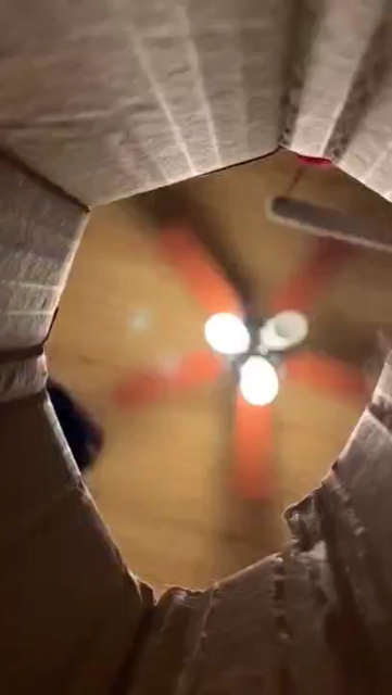 Video of two cats sniffing down a cardboard tunnel towards the viewer. The tunnel is just big enough for a cat's head, so they take turns smelling you.

They know what you are...