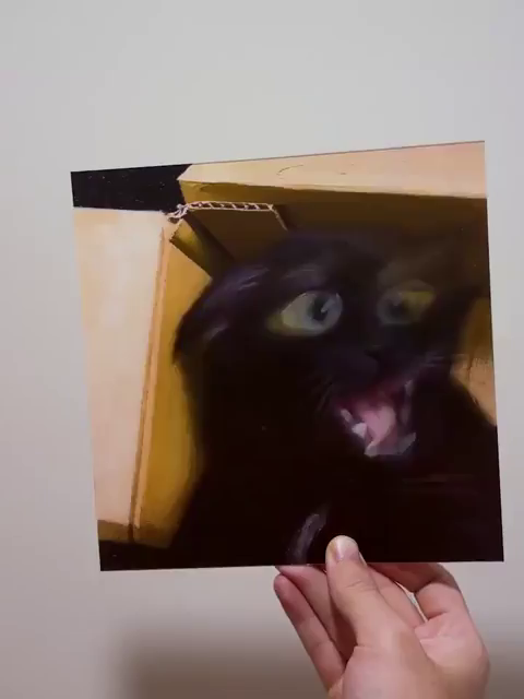 Lenticular printing of a black cat moving its head while excitedly trying to catch a string from inside its box. The perfect print to highlight the grace and finesse of the void kitty in action*

*it looks like a goofy little goober as its head, eyes, and mouth are all over the place.

Truly majestic!