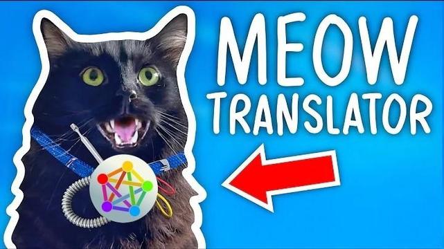 YouTube video thumbnail showing a black cat meowing at the screen while wearing with a Meow Translator, except the kitty's collar has the Fediverse symbol instead.

Caption is "Meow Translator" with a red arrow pointing to the translation device