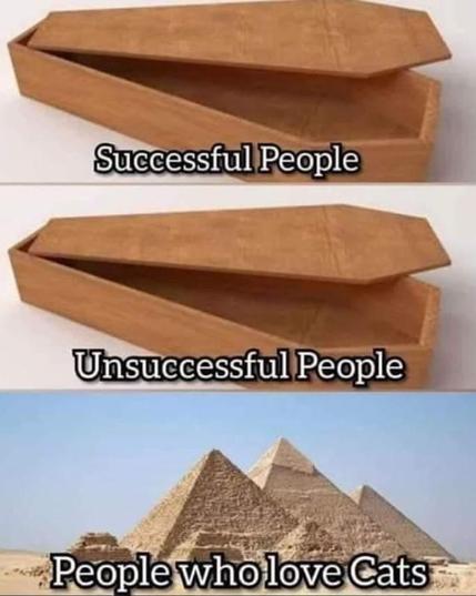 Successful People: coffin
Unsuccessful People: coffin
People would love Cats: photo of the great pyramids