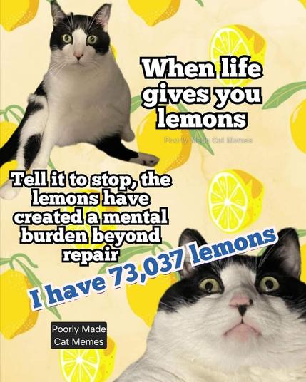 When life gives you lemons

Tell it to stop, the lemons have created a mental burden beyond repair. 

I have 73,037 lemons!

(Two photos of an overwhelmed looking white & black cat sitting awkwardly one a background of lemon clipart)

[Poorly Made Cat Memes]