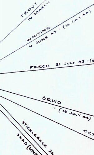 Named point-to-point Lorenz links between German command centres, each a separate teleprinter circuit Bletchley tracked and tried to read. Trout, Whiting, Perch, Squid, Stickleback, Shad, where every spoke is one link.