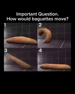 Important Question: How would baguettes move?