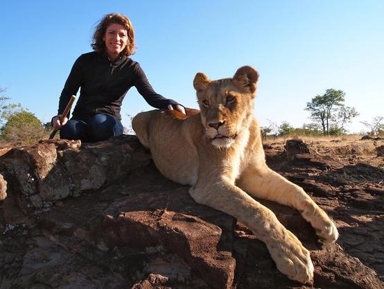 Photo of a woman with her hand on a lionesse perched on some rocks in the wild. Probably a rescue which was released and knows her, but their threat model is not your threat model!