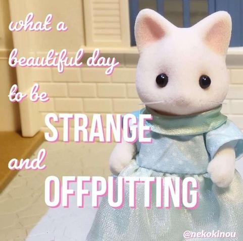 what a beautiful day to be STRANGE and OFFPUTTING
Photo of a cat doll in a dress staring at the viewer with beady eyes (no really they are made of beads)