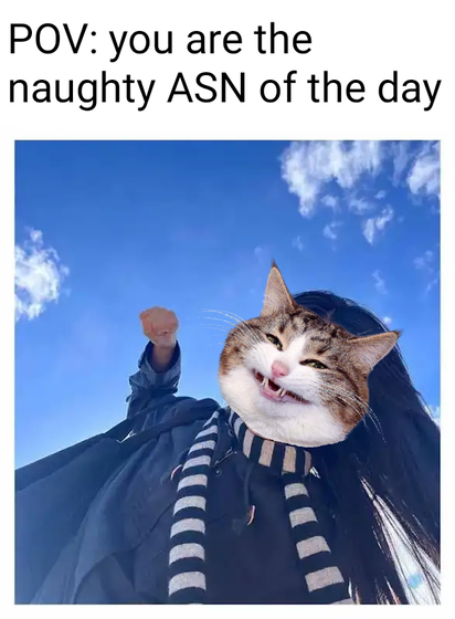 Photo of someone outside with long, black hair and a black & white stripped scarf about to punch down at the viewer. They face has been replaced with Catte (Rexie the Cat) and a blue sky with some small clouds can be scene.
