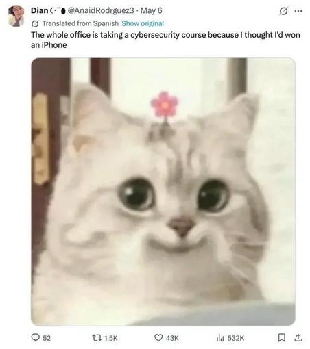 Post from Dian 
(translated from Spanish)
The whole office is taking a cybersecurity course because I thought I'd won an iPhone.

[Edited photo of a cat made to look like it has a tiny smile and a small pink flower coming out of the top of its head]