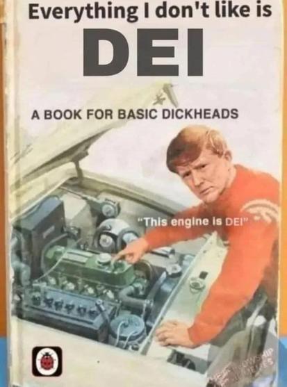 The image is a parody of a book cover, designed to be humorous and provocative. The title, "Everything I don't like is DEI," is displayed prominently at the top in bold black text. Below it, in slightly smaller but still bold black letters, is the word "DEI." Further down, the subtitle reads "A BOOK FOR BASIC DICKHEADS" in black, sans-serif font.

The main visual element is a cartoon illustration of a man with short, reddish-brown hair, wearing an orange long-sleeved shirt. He is leaning over t…