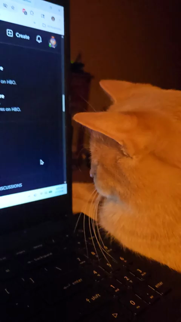 Video of an orange cat laying next to a laptop, centimeters away from the screen. When the cursor wiggles and moves around, the mighty hunter tries to catch and eat it a few times. Good job kitty!
