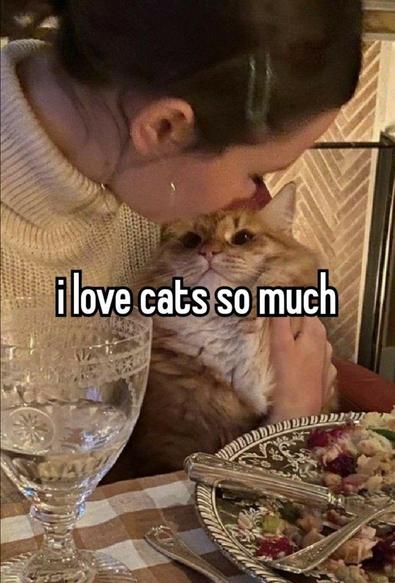 Photo of a woman with pale skin and dark hair embracing a very fluffy orange and white cat who is looking up at her. The setting is in front of a dinner table, and while the likely scenario for the photo was a cuddle intervention to keep the kitty away from thr antipasto, it's still very cute.

Caption is: i love cats so much
