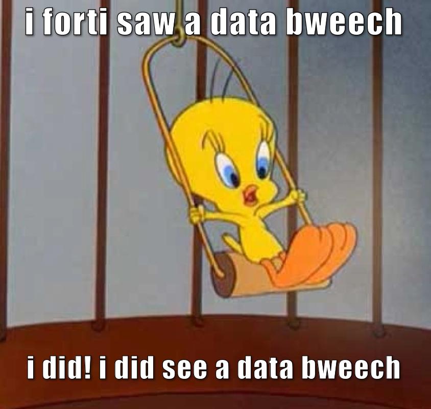 Pun based on tweety bird from Looney Tunes. Tweety on swing in their cage.

Caption: “I forti saw a bweech..i did! i did see a data bweech”