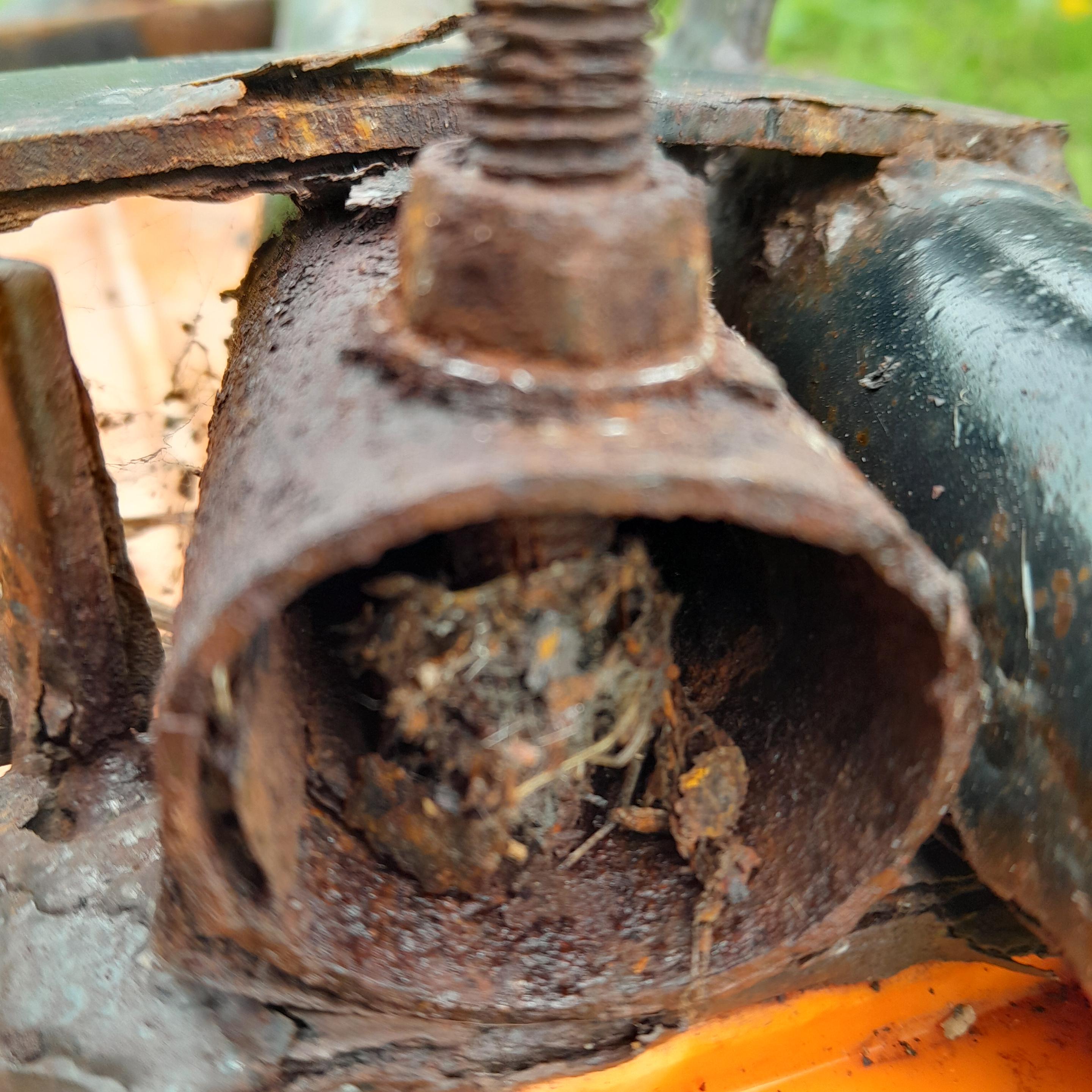 rusty bolt