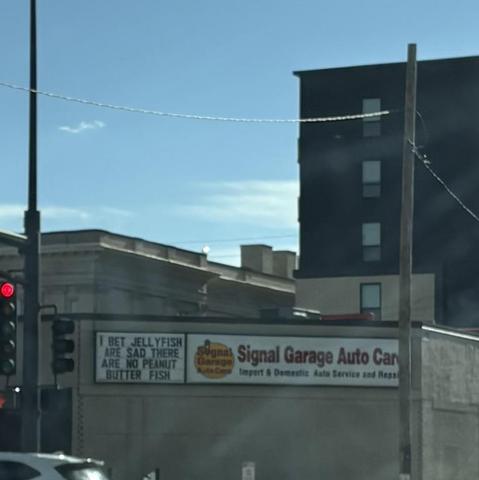 Signal Garage sign "I bet jellyfish are sad there are no peanut butter fish."