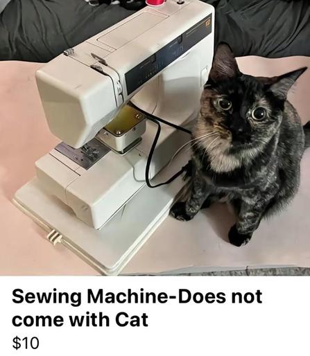 Sewing machine for sale picture showing a cute tortie cat next to it.

"Sewing Machine–Does not come with Cat $10"