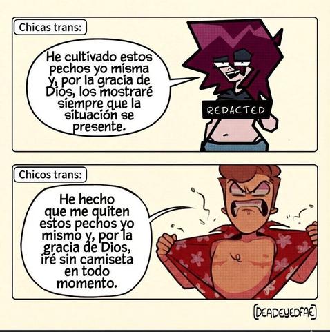 Posted media