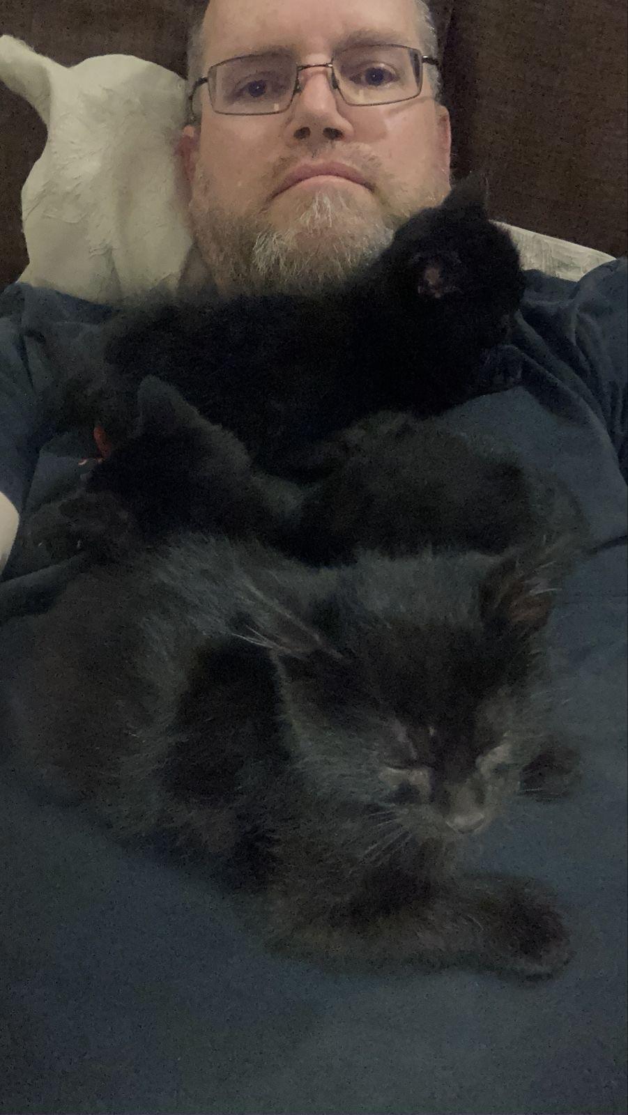Three black kittens lying top and tails on my chest.