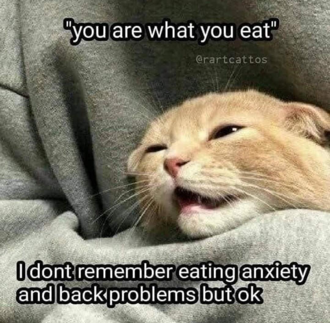 A close-up of a relaxed orange cat against gray fabric, with text above and below stating humorous phrases about diet and well-being.

Transcribed Text:

"you are what you eat" I dont remember eating anxiety and back problems but ok