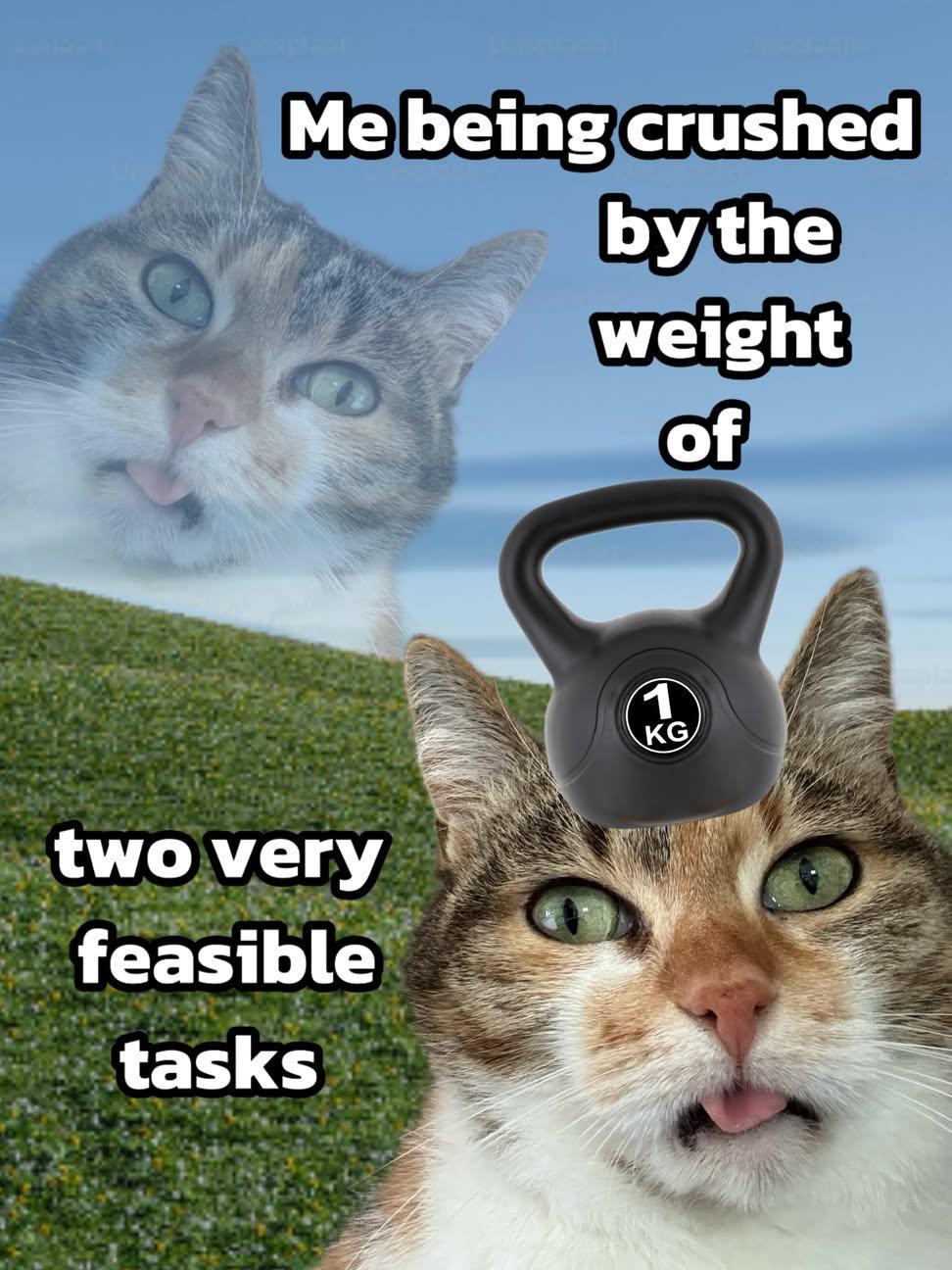 A calico cat with green eyes and its tongue out, beneath a 1 kg kettlebell, with the text "Me being crushed by the weight of two very feasible tasks."