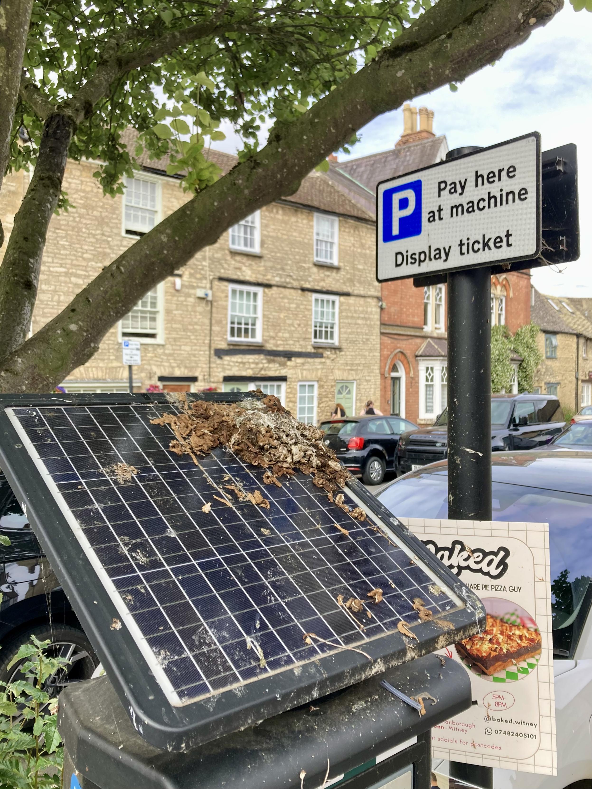 Solar panel, on top of a parking meter, about a quarter of which is covered in bird droppings.