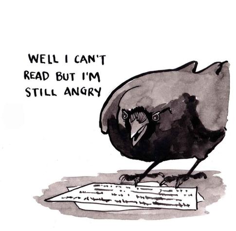 Drawing of a crow looking at some paper on the ground.

“Well I can't 
read but I'm 
still angry”