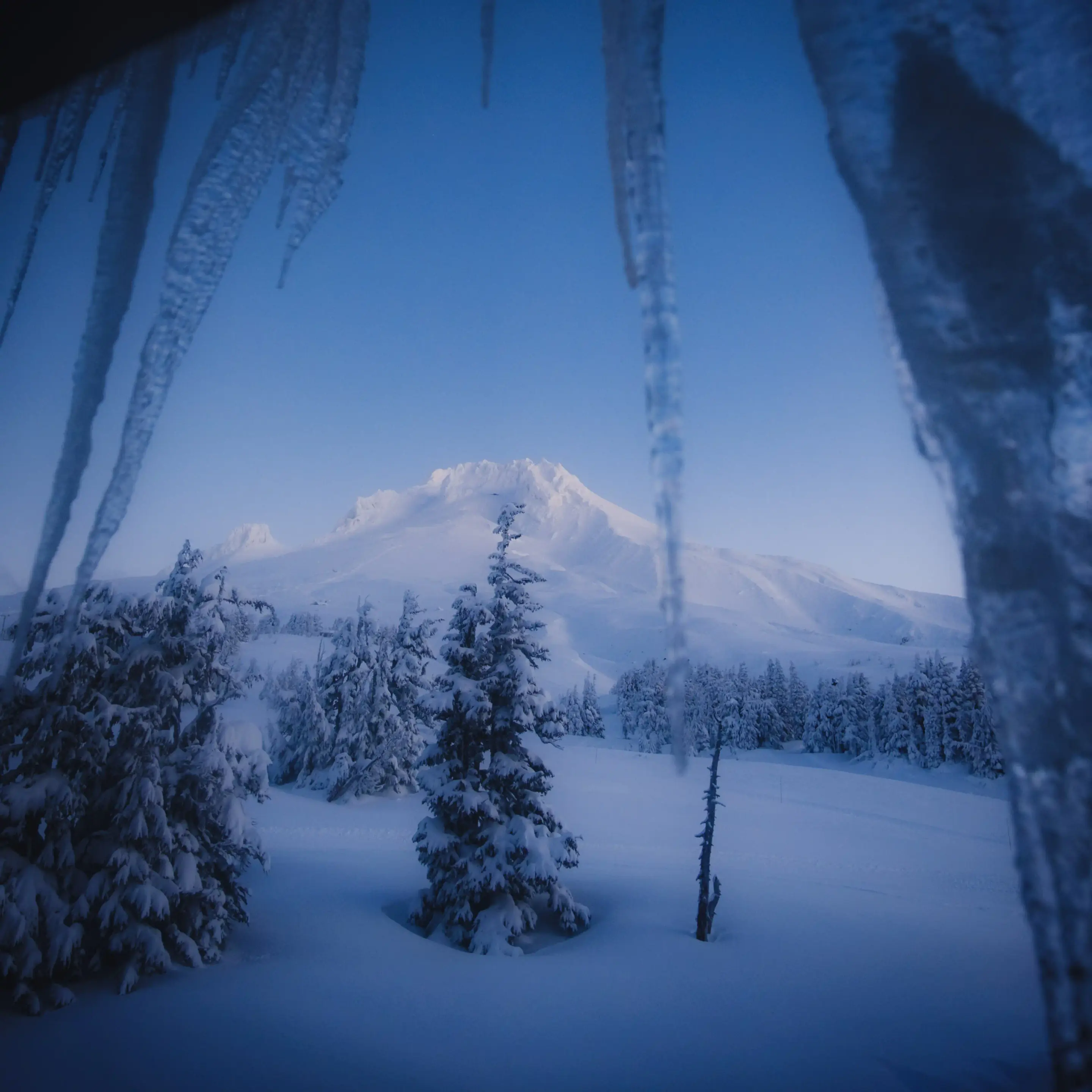 view of Mt. Hood from a Timberline Lodge room in winter