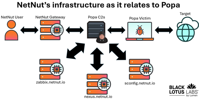A graphic depicting NetNut's proxy infrastructure shows a NetNut user (proxy customer) accessing a NetNut gateway, which then relays the request to one of many NetNut control servers and through to the Popa botnet victim and on to the targeted website or destination (and back of course).