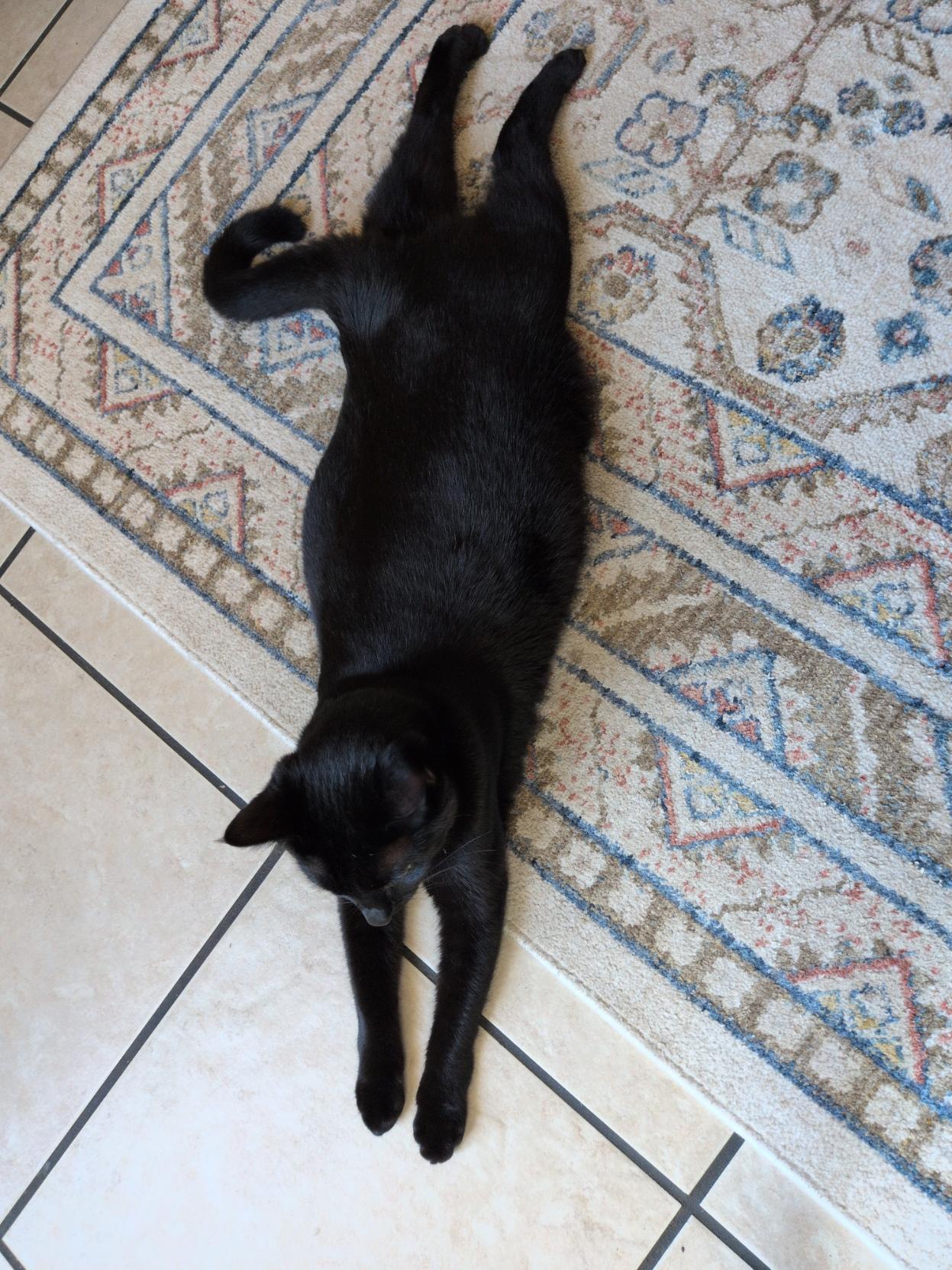 A small squishy black cat stretches out on a light colored rug over a tile floor. Her arms and legs are extended forward and backward in sploot position.