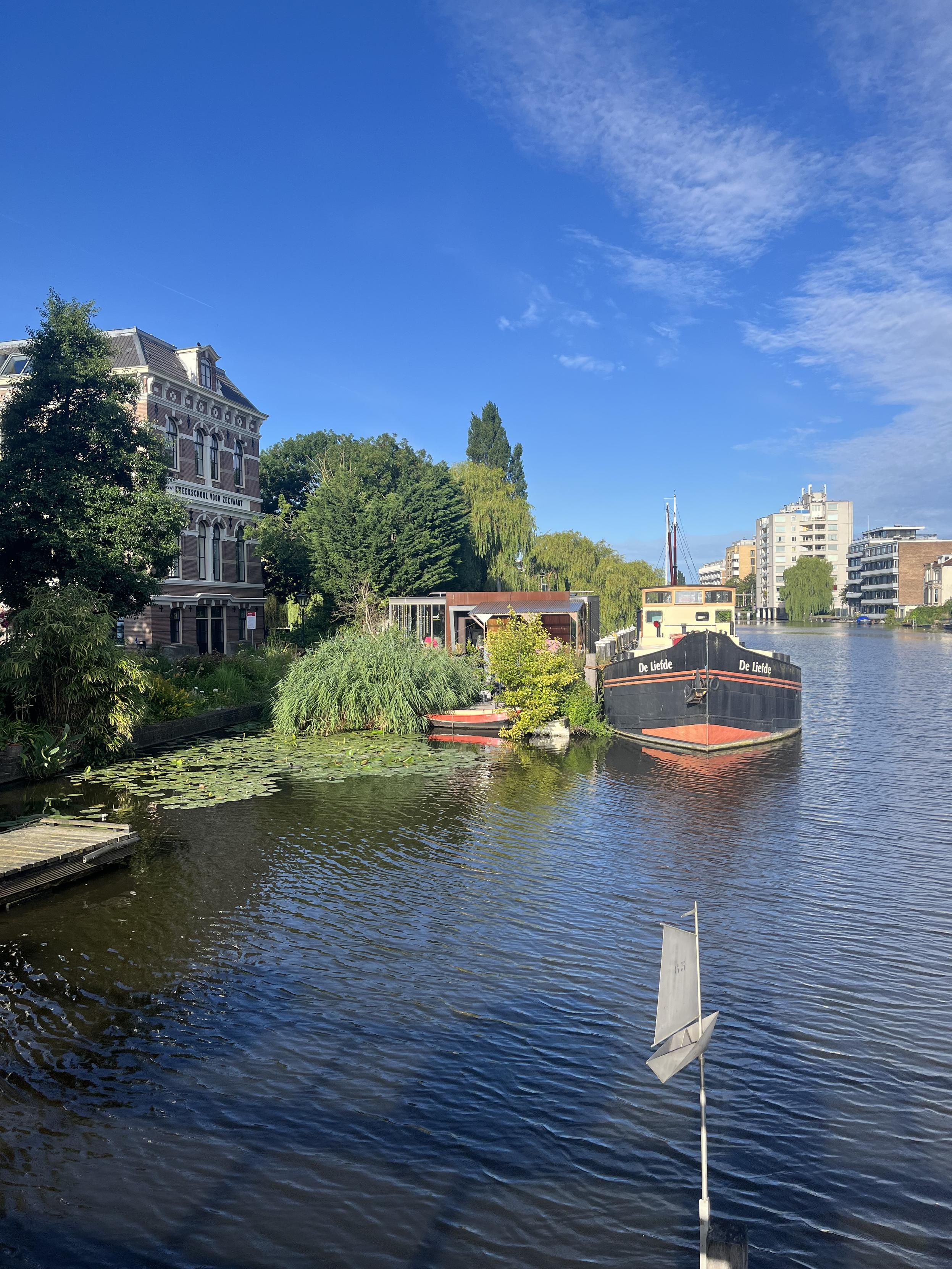 An old tug boat docked by dense lily pads outside antique buildings with modern ones in the distance