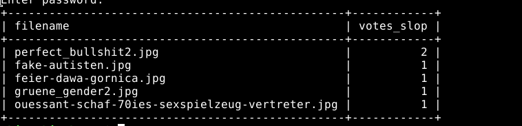 +-------------------------------------------------+------------+
| filename                                        | votes_slop |
+-------------------------------------------------+------------+
| perfect_bullshit2.jpg                           |          2 |
| fake-autisten.jpg                               |          1 |
| feier-dawa-gornica.jpg                          |          1 |
| gruene_gender2.jpg                              |          1 |
| ouessant-schaf-70ies-sexspielzeug-vertreter.jpg |          1 |
+-------------------------------------------------+------------+