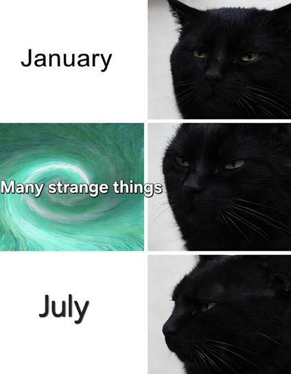 Three photos of a black cat slowly looking to the left. It starts with "January", then a green & white whirlpool labeled "Many strange things", and finally ends on July.