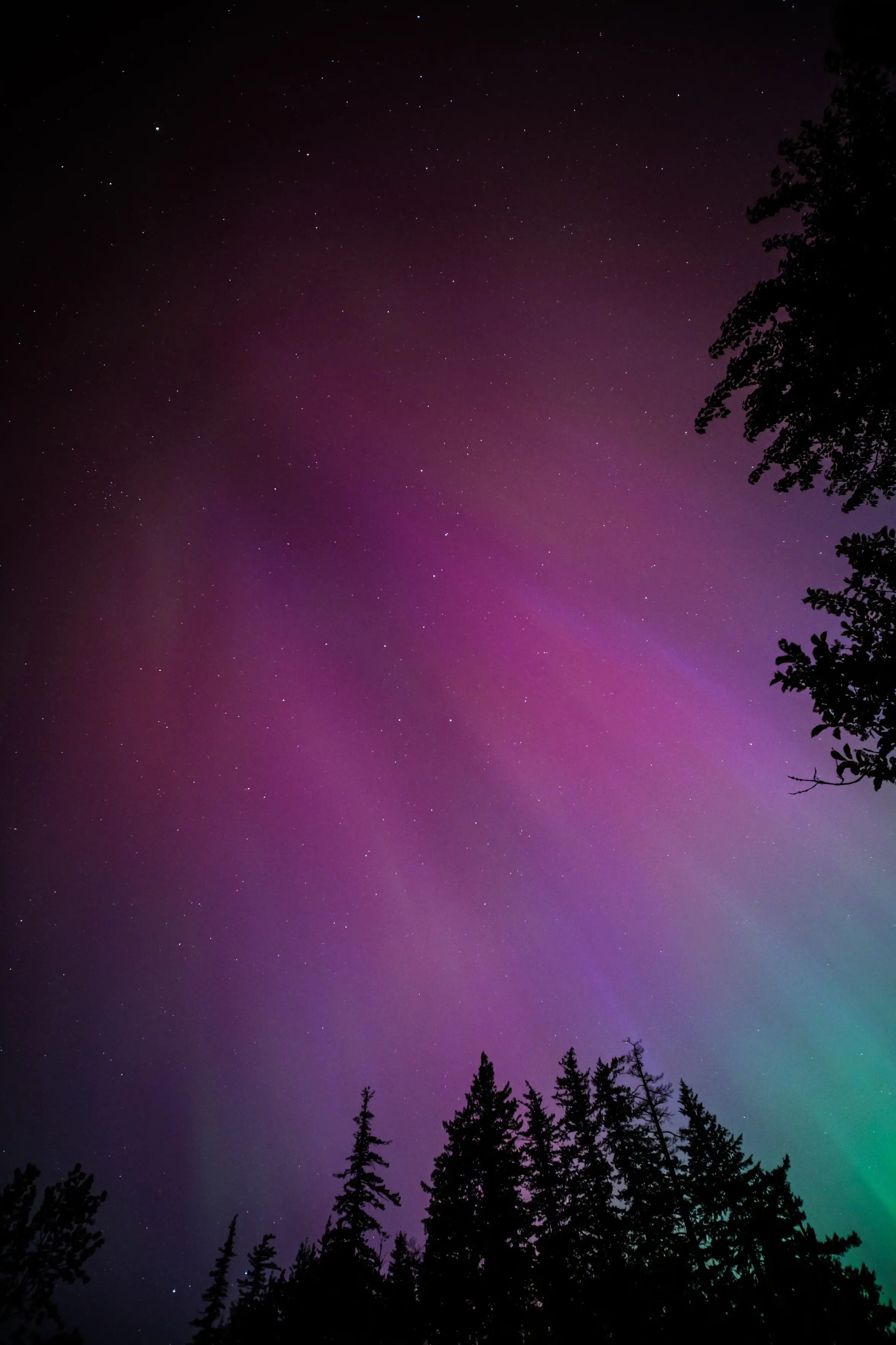 purple and green aurora at night from the Columbia River Gorge in Oregon