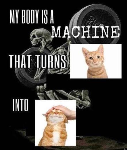 Skeleton lifting weights meme, but it's been changed to:

MY BODY IS A 
MACHINE
THAT TURNS [cats] 
INTO [pet cats]

(with [cats] and [pet cats] being photos of an orange kitty)