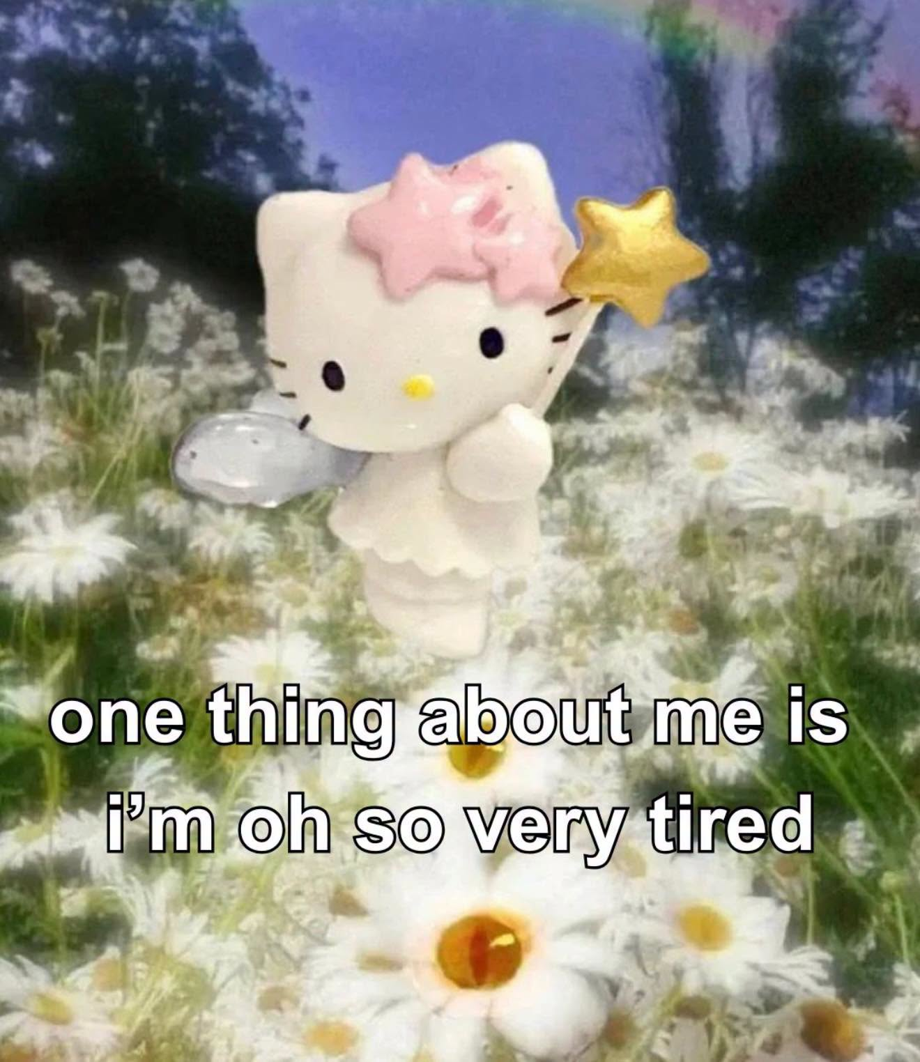 a figurine of hello kitty dressed as a fairy with a pink star headband, holding a gold star wand, layered over a field of white daisies under a soft hazy sky. text across the bottom reads: "one thing about me is i'm oh so very tired"