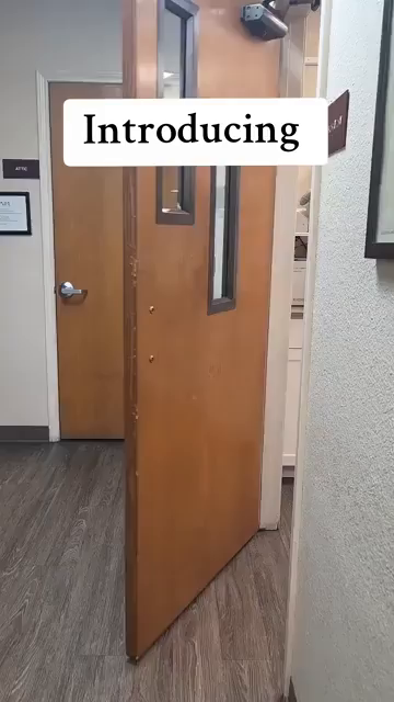 Video of someone opening a door and a vet comes through carrying the cat, Theodore Scritches McWiggles, an absolute UNIT of an orange Maine coon. This is the biggest and fluffiest house cat I've even seen. Seriously, this kitty is huge!!