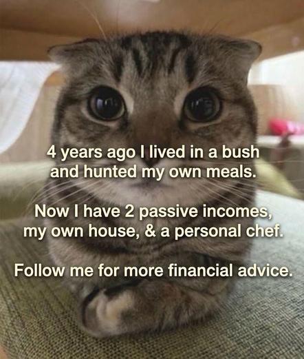 Photo of a cute tabby with short ears loafing underneath a table with its front paws crossed. Text on the screen is:

4 years ago I lived in a bush and hunted my own meals. 

Now I have 2 passive incomes, my own house, & a personal chef.

Follow me for more financial advice.