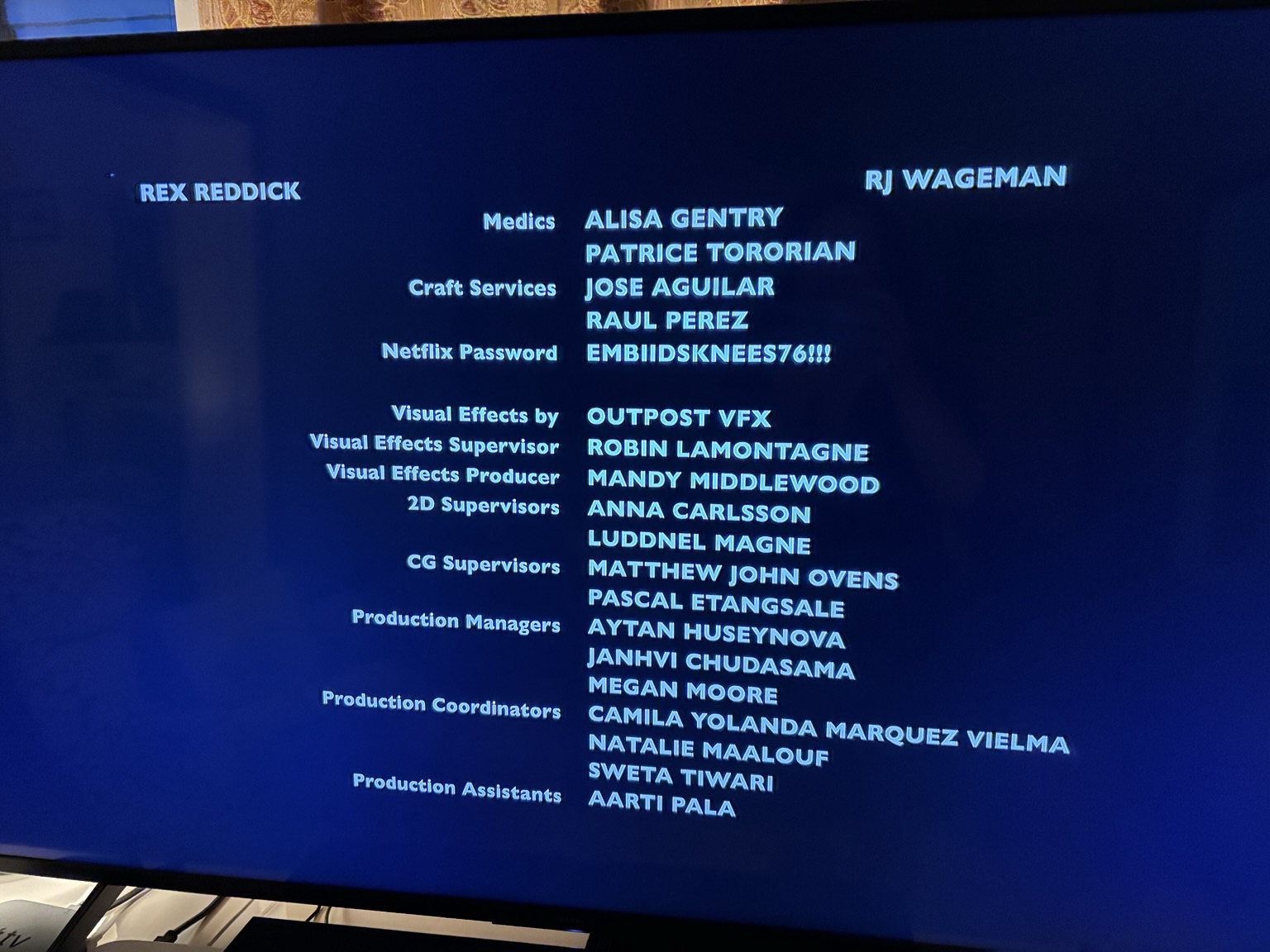 Credit roll for the Liam Neeson Naked Gun movie. This portion includes, after credits for Craft Services, a credit labelled “Netflix password” ha ha
