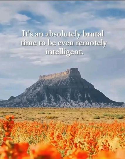 The photo of a field of orange, desert flowers with a mesa plateau in the distance. Text at the top is:

It's an absolutely brutal time to be even remotely intelligent.