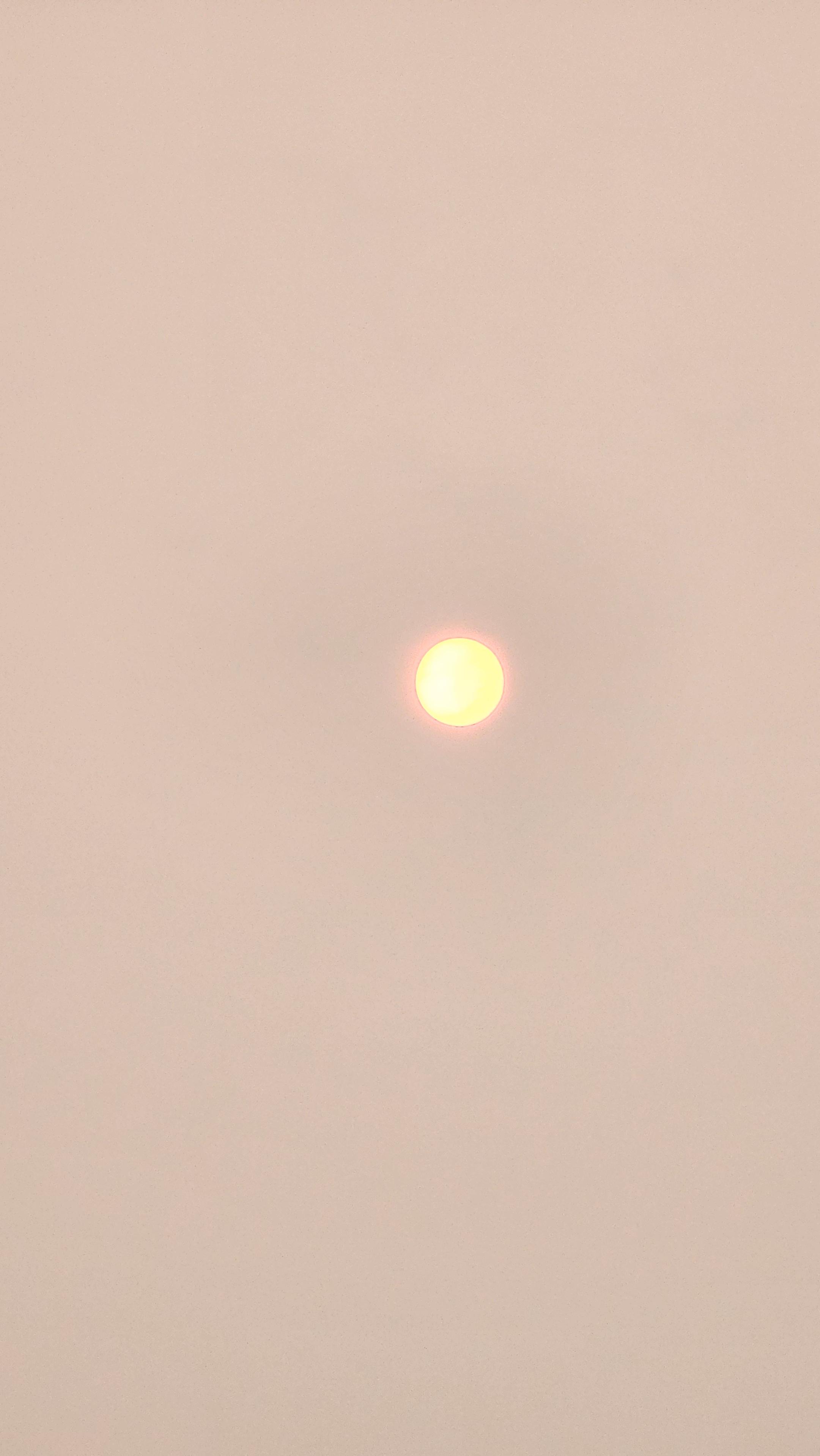 Orange ball of sun that has been significantly de-intensified by all the smoke. rest of the sky is looking brown.