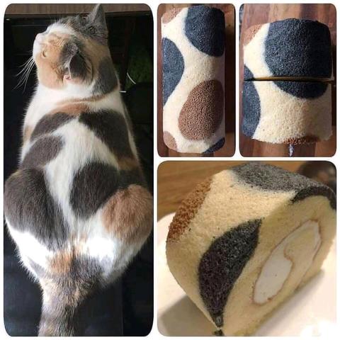 Photo of a spotted calico cat loafing on a table next to some photos of a sweet butter roll (i think) with similar spots... which is then sliced for easy eating 😭