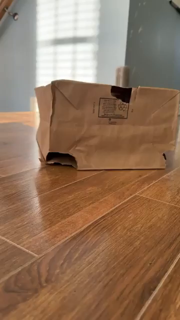 Video showing a fluffy calico cat playing with a paper bag with three holes cut out from it and balled up pieces that were cut out. The human slides the wads towards the holes, which the kitty attacks with varying levels of delay. The cat is having a lot of fun, and so is the person who laughs at the kitty pouncing.