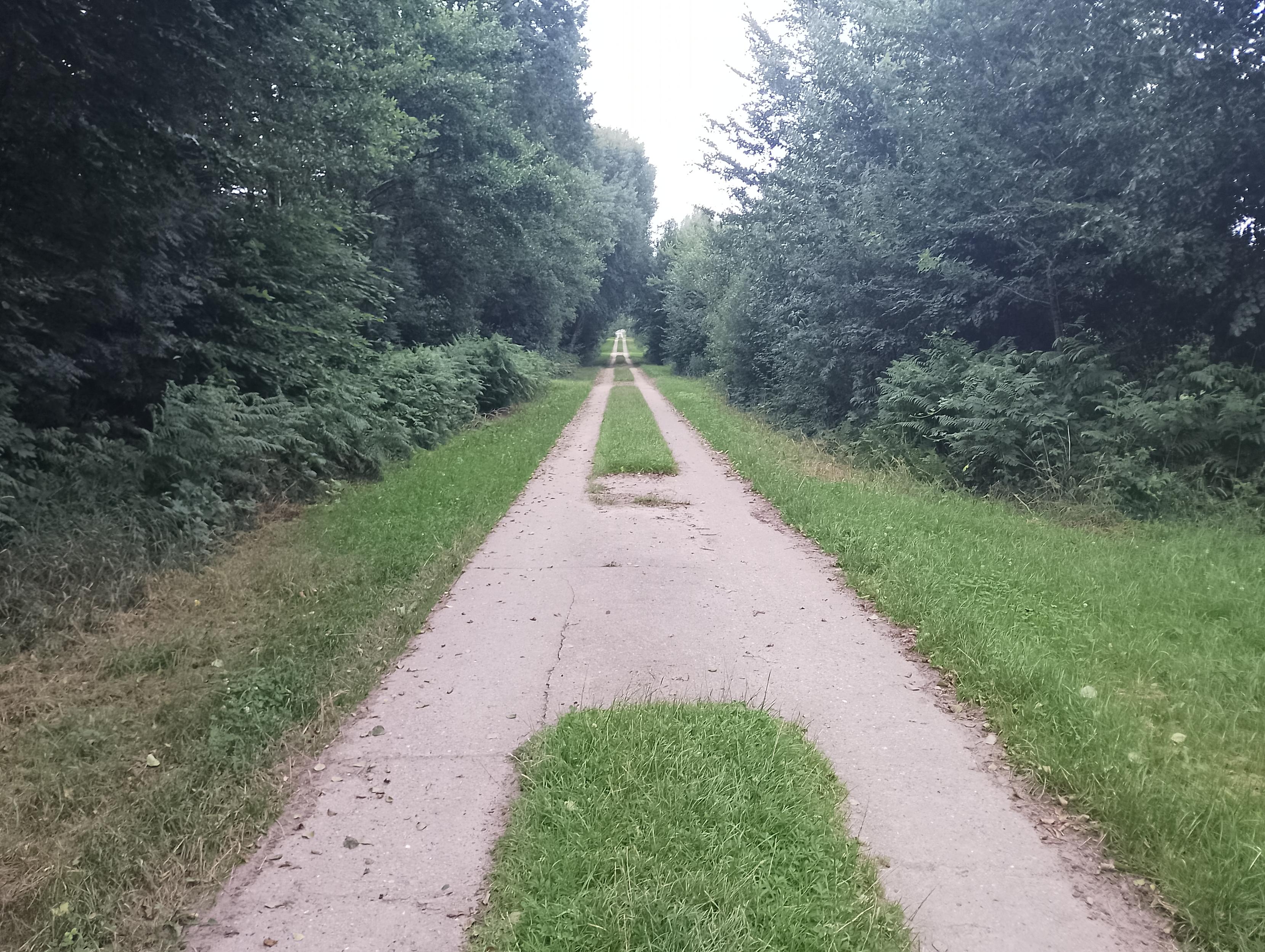 Weg in Form eines A, weiter Blick